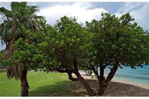 Beautiful Ground Floor! Corner! Just Steps To Ocean And Pool!120 Hotell Napili-Honokowai Eksteriør bilde